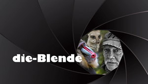 banner die Blende_a_4_454edebf-kl